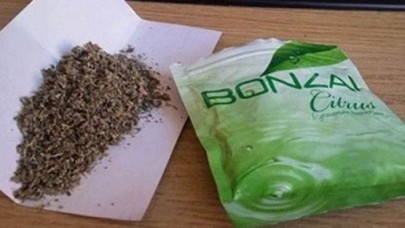 Devlet Düğmeye Bastı, Bonzaiye Büyük Takip