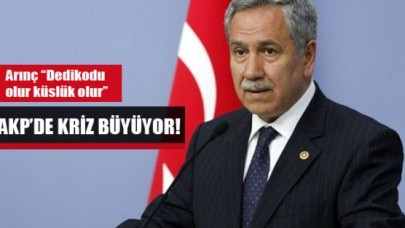 Arınç: Dedikodu olur, küslük olur
