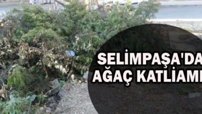 NERDESİNİZ GEZİ ZEKÂLILAR?