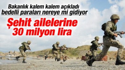 Bedelliden şehit ailelerine 30 milyon TL