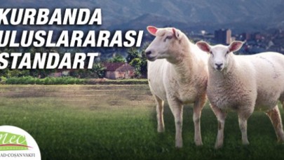 Kurbanlarınız gerçek ihtiyaç sahiplerine ilk elden ulaşsın.