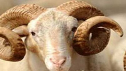 Kurban Bayramı için dünyada 3 ayrı tarih