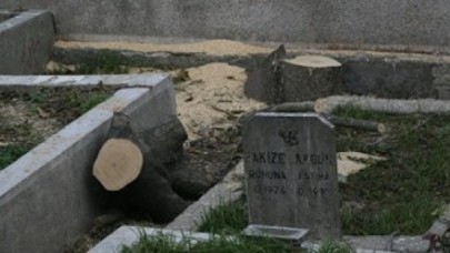 Esenyurt'ta ağaçları katlettiler