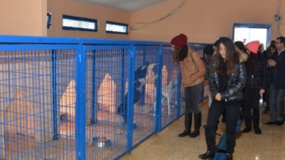 SAİNT BENOİT'TEN BARINAKLARA ZİYARET