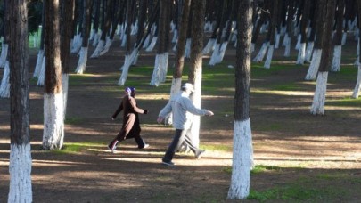 ENVER ADAKAN KORULUĞU CANLANACAK