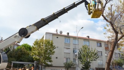 Yeşile bakım zamanı