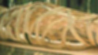 Ölü annesini beş yıl yatağında sakladı