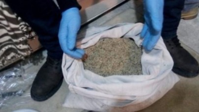 Avcılar'da Bonzai Operasyonu