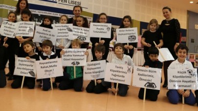 Kulübeleri sokak hayvanlarına bağışladılar