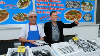 Balıkçınız İlhan hizmete açıldı