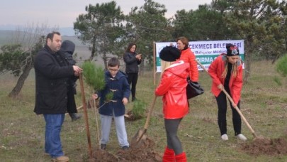 Belediyenin yeşil atağı...