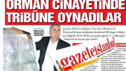 Üç beş ağaç değil 40 bin ağaç!..