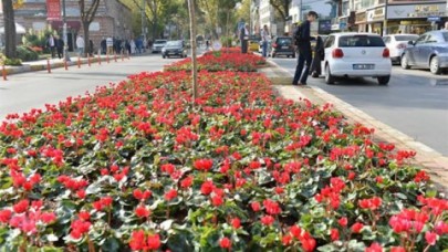 İBB betonlara çiçek ekiyor