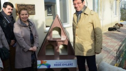 Beylikdüzü'nde kedi evleri için örnek proje