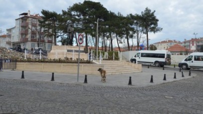 SELİMPAŞA MEYDANI BÜYÜYOR