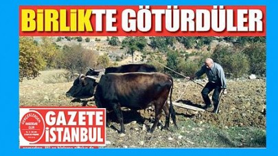 MİLLETİN PARASINI BİRLİKTE GÖTÜRDÜLER