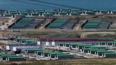 İBB'den toplama kampı gibi barınak