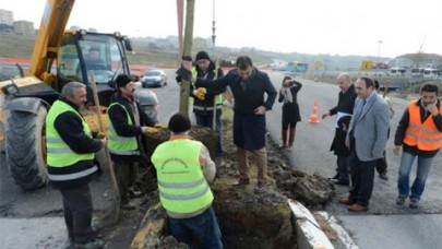 Beylikdüzü baştan sona ağaçlanıyor