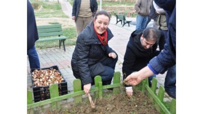 İBB SİLİVRİ’YE LALE DİKTİ!