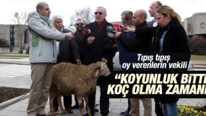 CHP'li vekil Meclis'e koçla gitti