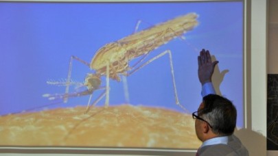 SİVRİSİNEKLERE KARŞI MÜCADELE PLANI HAZIR