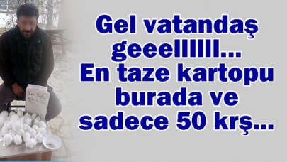 Kardan Para Kazanıyor