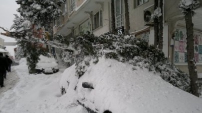 Evleri Kar Bastı!