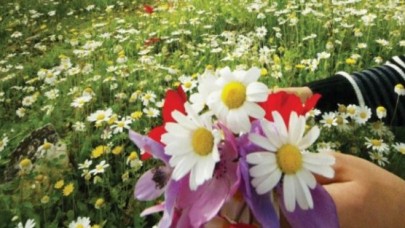 Birinci cemre düştü