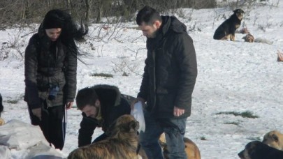 SOKAK HAYVANLARI BESLENDİ