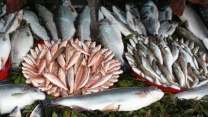 Balık fiyatları el yakıyor