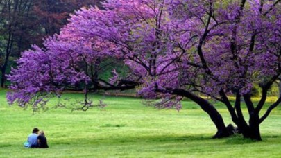 İkinci cemre de düştü