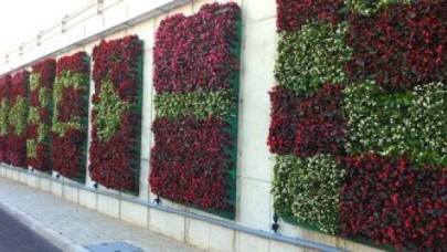 Duvarlar Çiçek Açtı, Faturası İstanbullulara Kesildi