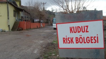 Kuduz teşhisi karantinaya aldırdı