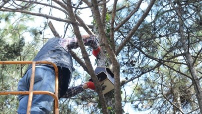 KUŞ EVLERİ BEYLİKDÜZÜ’NDE