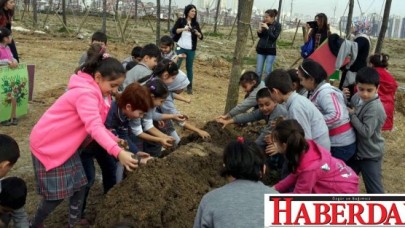 ORMANSIZ VATAN YURT DEĞİLDİR