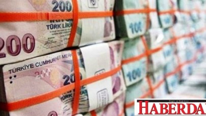 Değer kaybeden tek para birimi TL