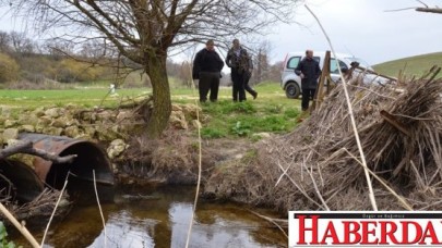 Bu ne perhiz bu ne lahana turşusu