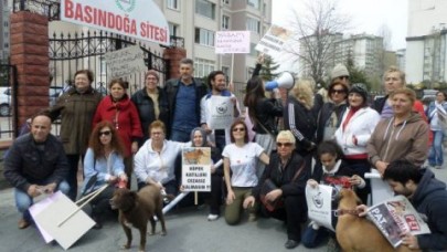 Zehirlenerek öldürülen köpek için eylem