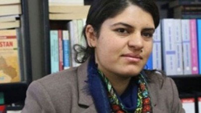 HDP barajı geçerse Öcalan Mecliste