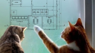 YSKdan trafoya kedi önlemleri