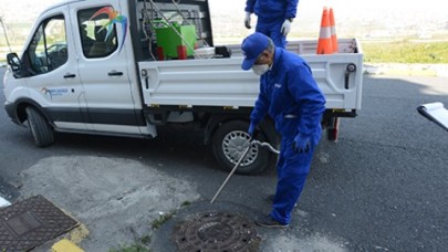 Beylikdüzünde sinek avı başladı