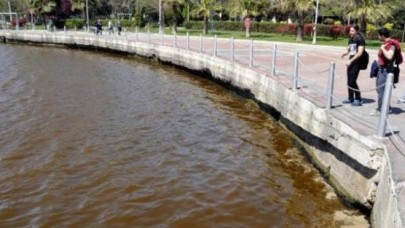 İzmit Körfezinde deniz kızardı