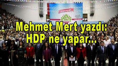 HDP ne yapar!