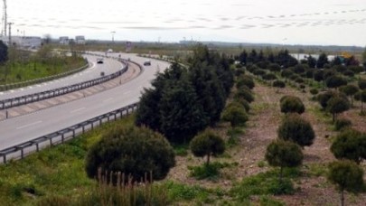 Bursaya Yatırım Yapan Kazanacak