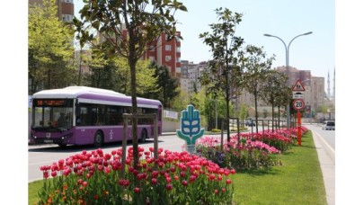 Başakşehir’de laleler çiçek açtı