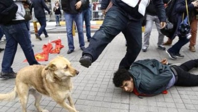 Yere Yatırılan Göstericiye Şefkat Gösteren Köpeğe Polisten Tekme