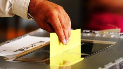 Sandıkta kedi testi