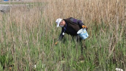 Avcılarda sineğe karşı mücadele