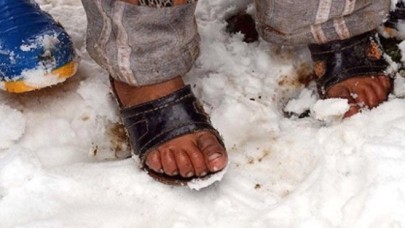 Vanda 7 kaçak donarak öldü