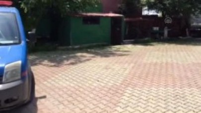 Silivride Güvercin Hırsızlığı